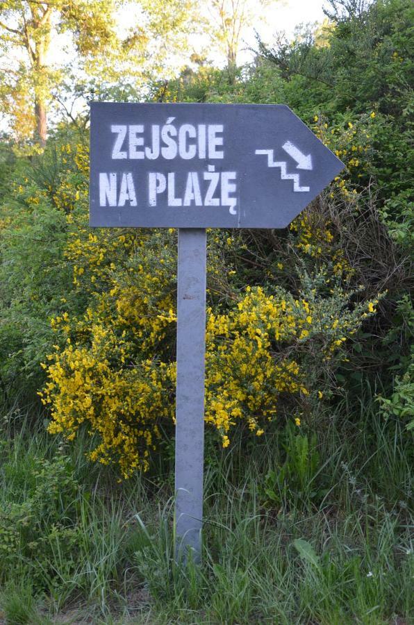 Zielona Przystan Mechelinki